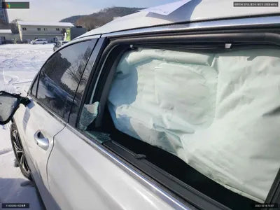 2019 Hyundai Santa FE KMHS381ABKU177949 VIN:KMHS381ABKU177949