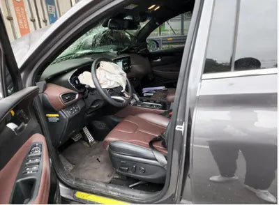 2019 Hyundai Santa FE KMHS581BDKU105058 VIN:KMHS581BDKU105058