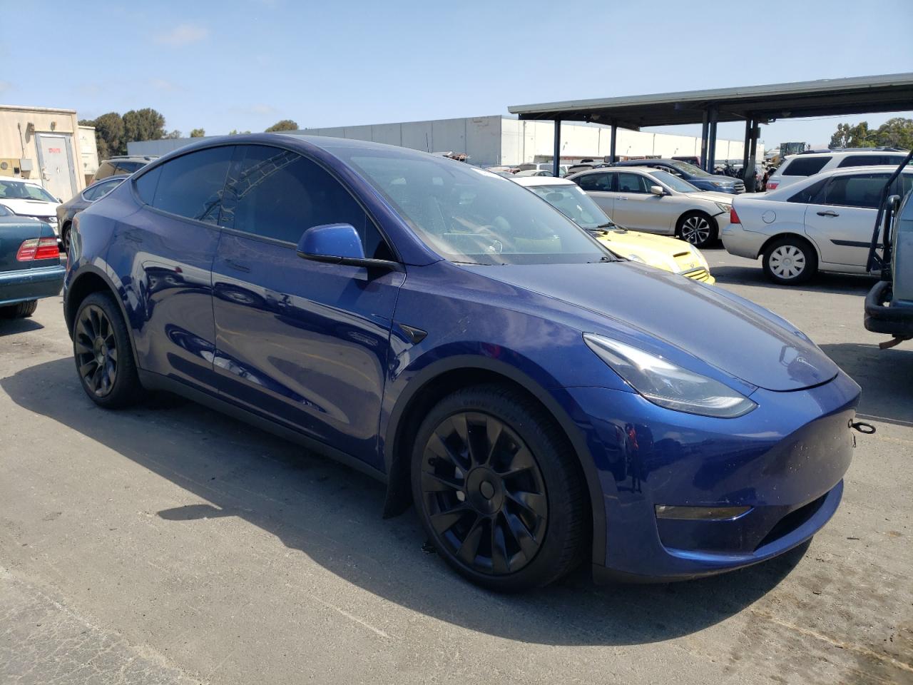 2023 TESLA MODEL Y  VIN:7SAYGDEE6PF845430