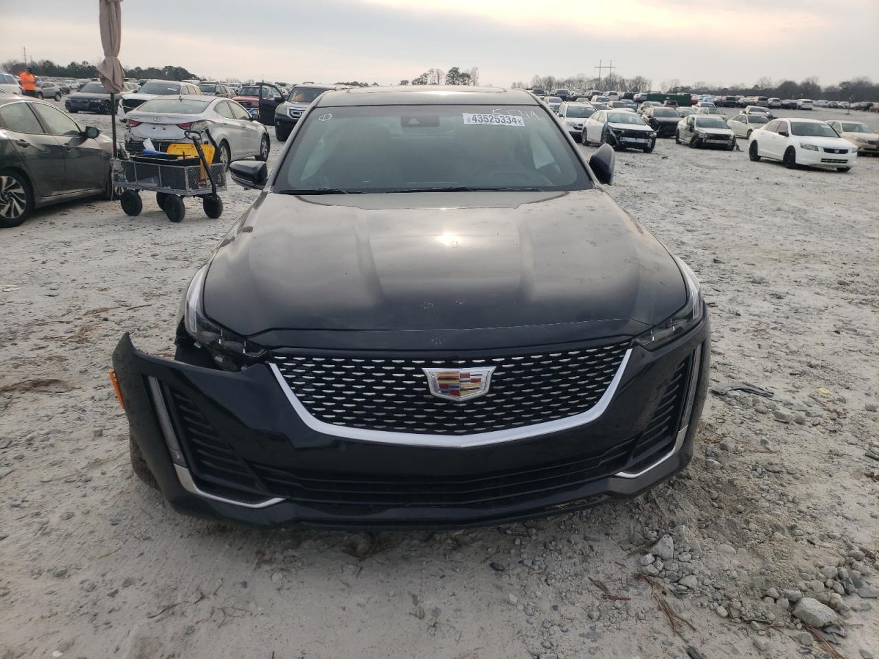 2023 CADILLAC CT5 LUXURY VIN:1G6DS5RK0P0105549