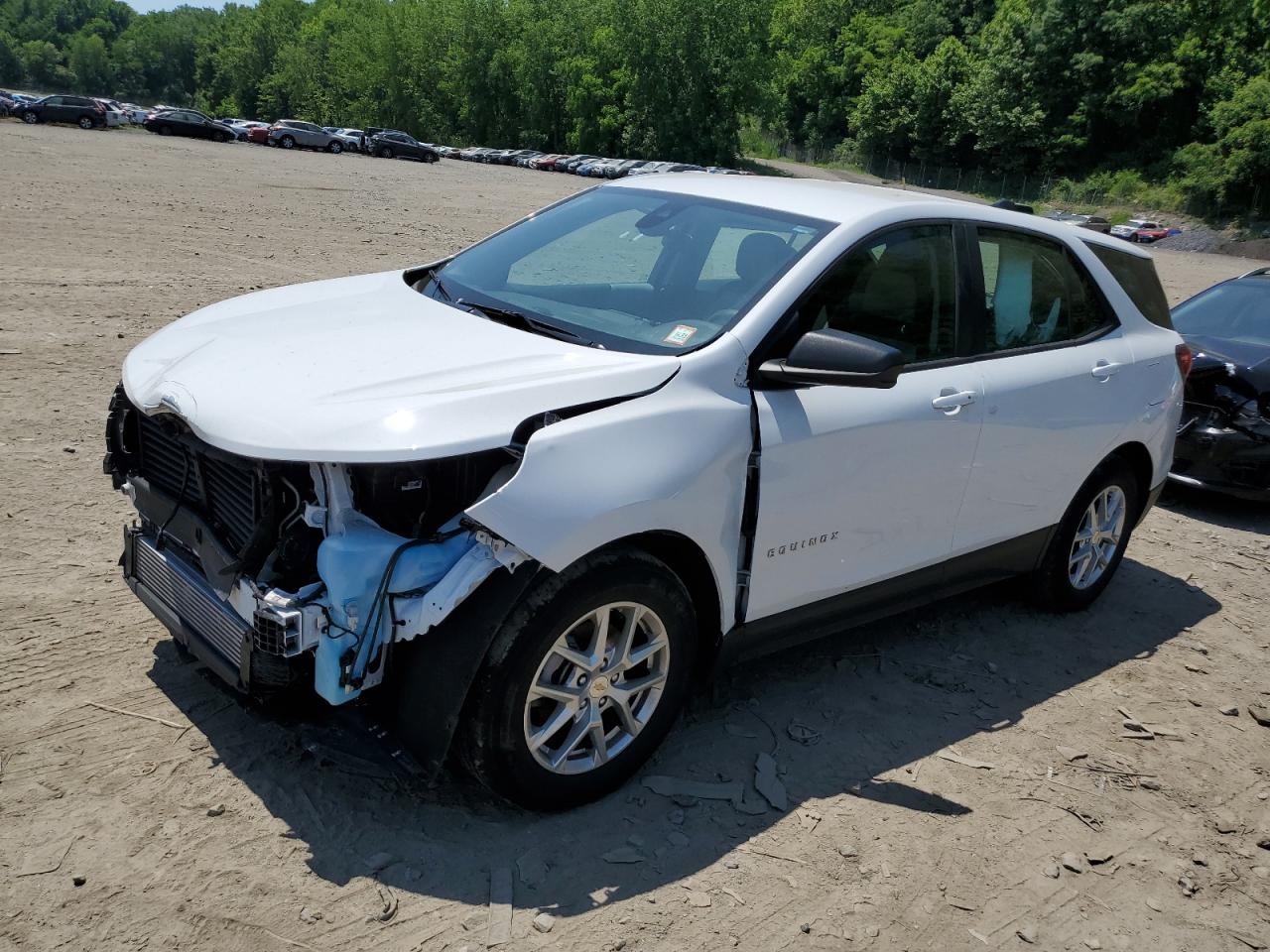 2023 CHEVROLET EQUINOX LS VIN:3GNAXHEG8PL133887