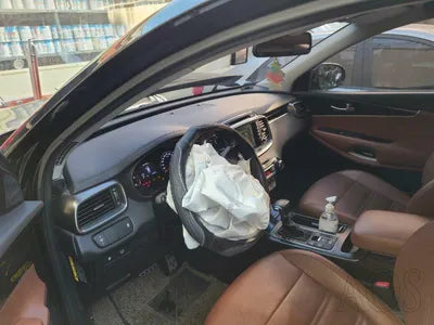 2018 Kia Sorento KNAPS81BBJA441570 VIN:KNAPS81BBJA441570