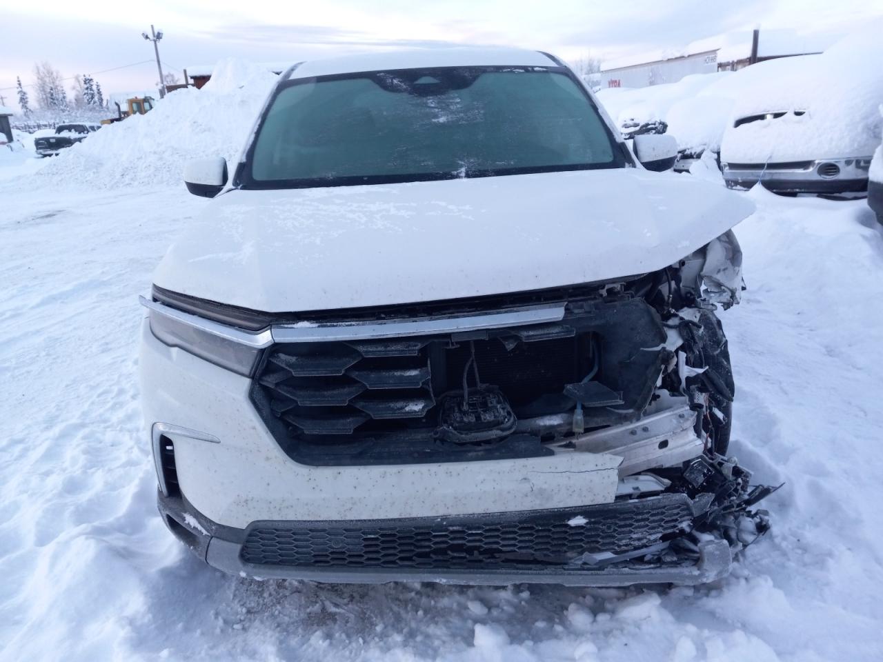 2023 HONDA PILOT EXL VIN:5FNYG1H44PB046373