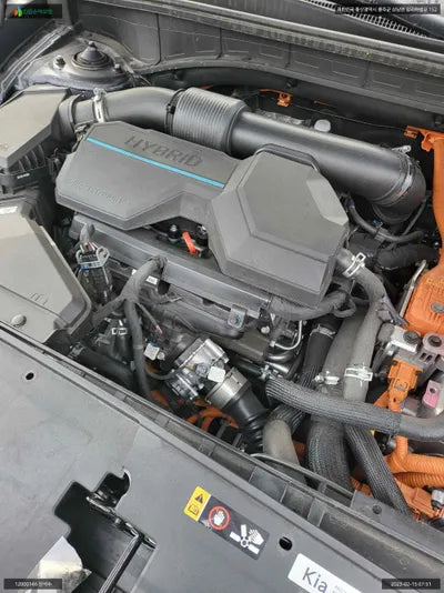 2022 Kia Sorento KNARK81GBNA120791 VIN:KNARK81GBNA120791