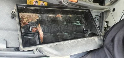 2016 Mercedes-Benz S 500 WDDUG8FB2GA247194 VIN:WDDUG8FB2GA247194