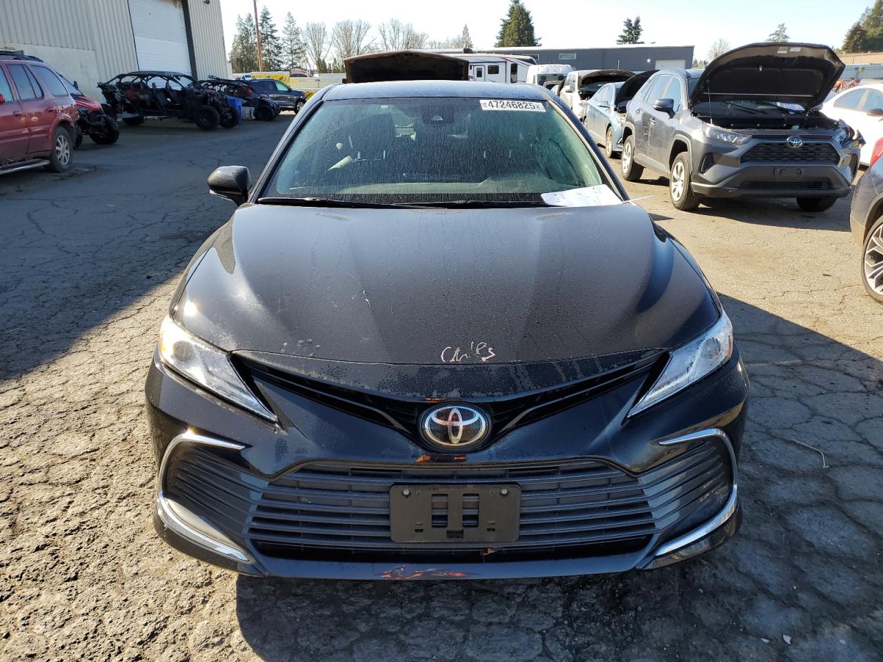 2023 TOYOTA CAMRY XLE VIN:4T1F11BKXPU103386
