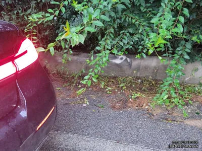 2022 BMW 530 WBA51AG05NCJ21267 VIN:WBA51AG05NCJ21267