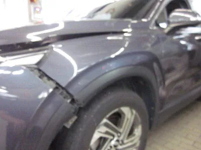 2020 Hyundai Santa FE KMHS381HGMU333983 VIN:KMHS381HGMU333983