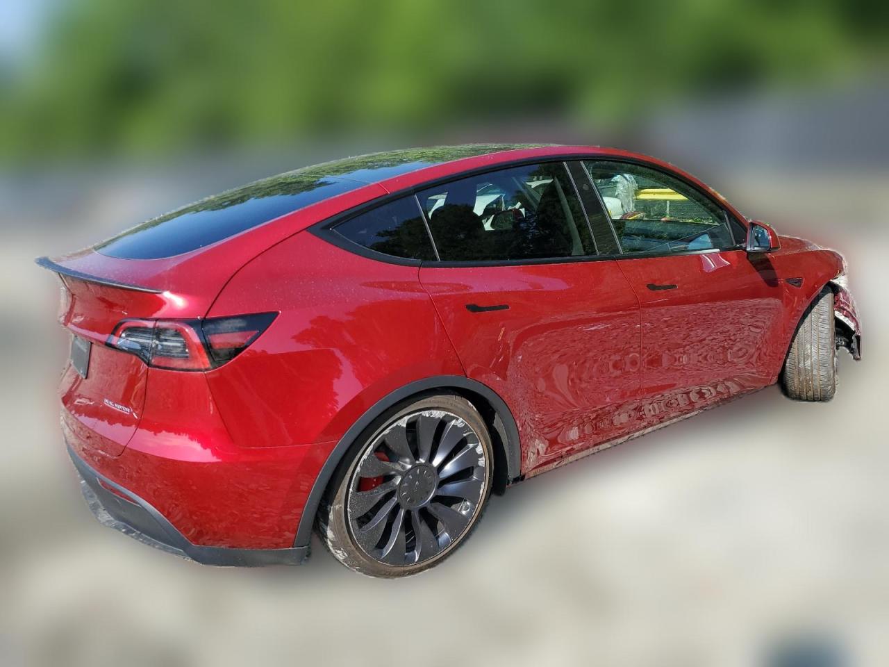 2024 TESLA MODEL Y  VIN:7SAYGDEF6RA264549