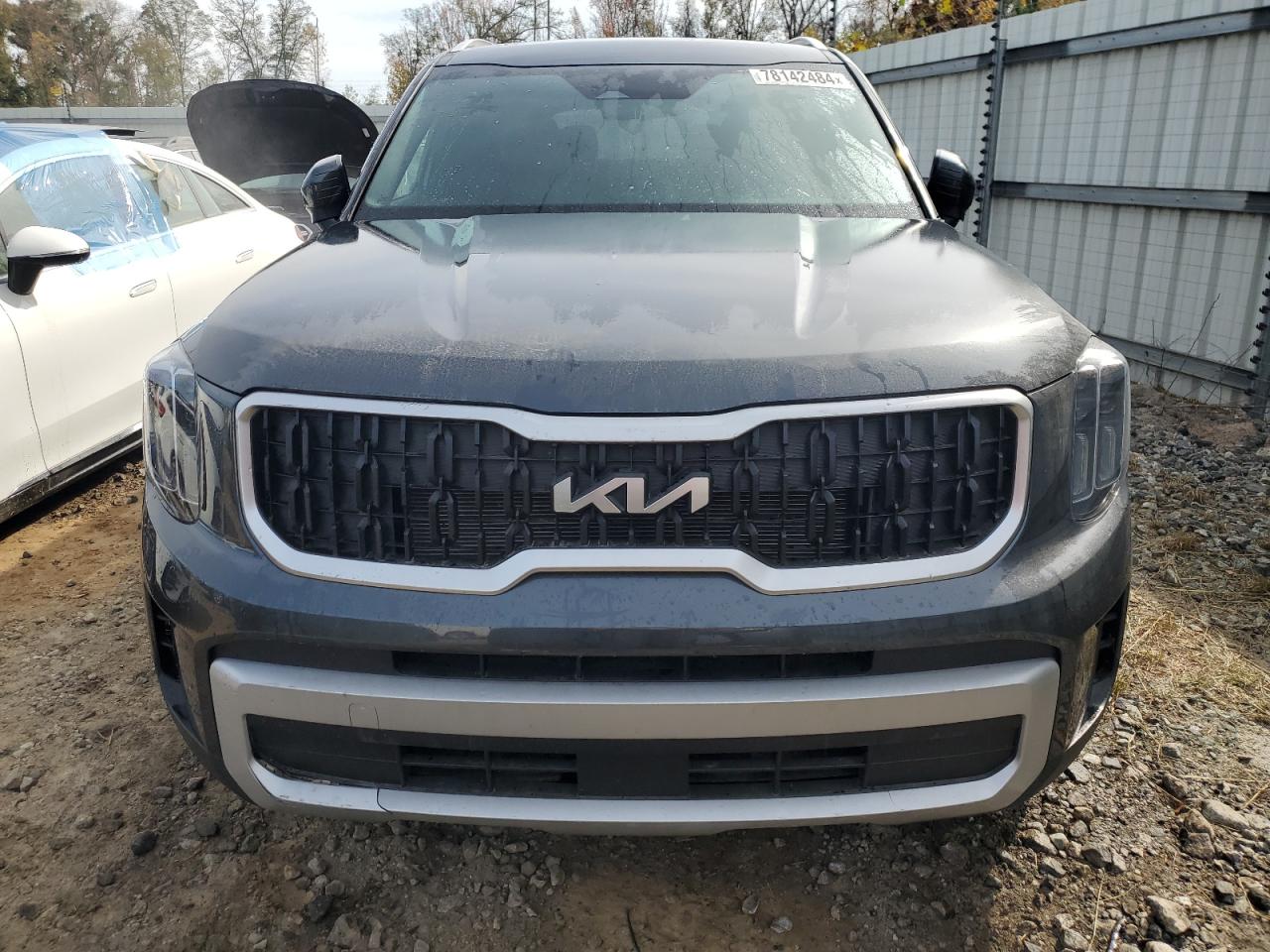 2024 KIA TELLURIDE EX VIN:5XYP34GC2RG425904