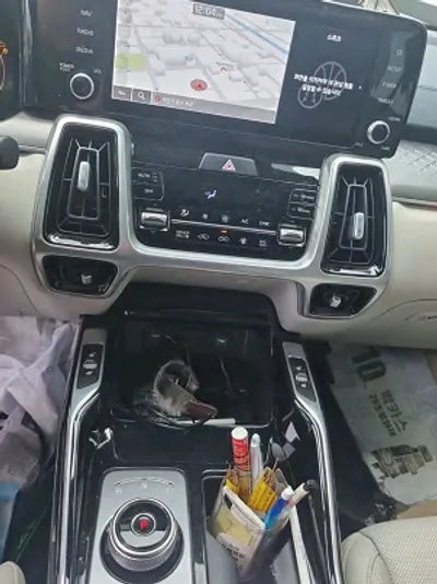 2022 Kia Sorento KNARG81GBNA101511 VIN:KNARG81GBNA101511