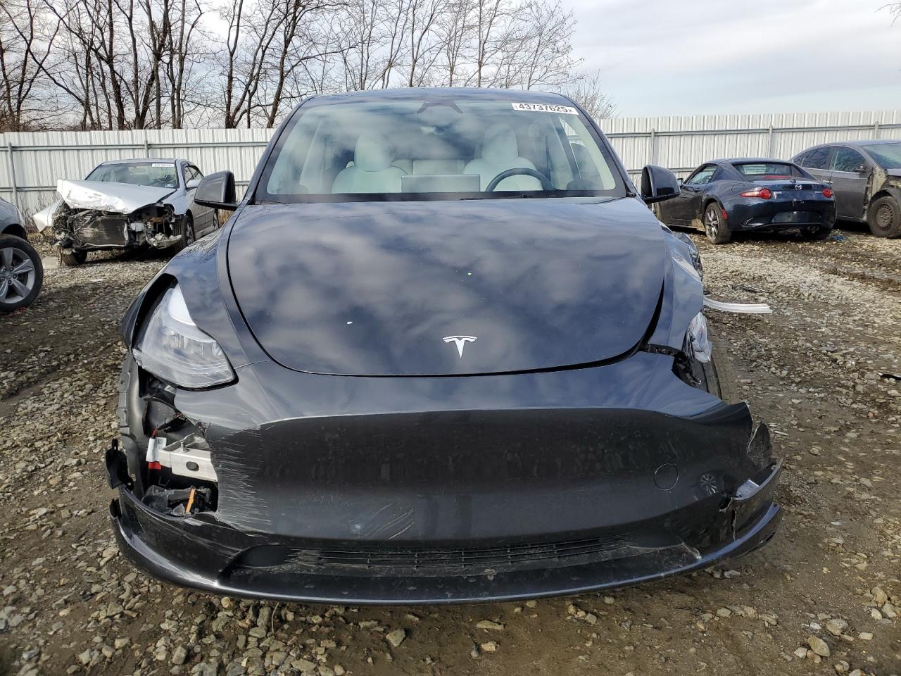 2024 TESLA MODEL Y  VIN:7SAYGAEEXRF990438