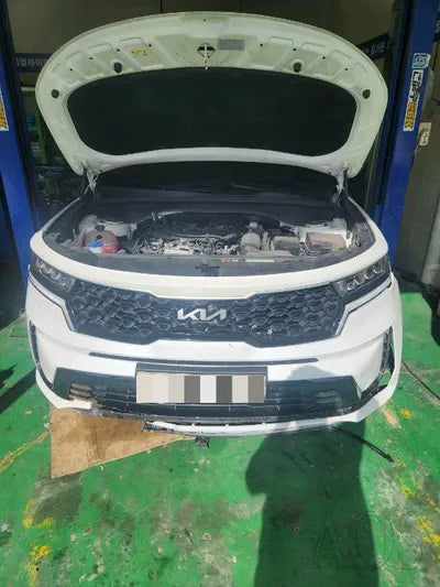 2022 Kia Sorento KNARL81BGNA165588 VIN:KNARL81BGNA165588