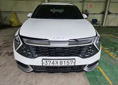 2023 Kia Sportage KNAPW81GBPK049919 VIN:KNAPW81GBPK049919