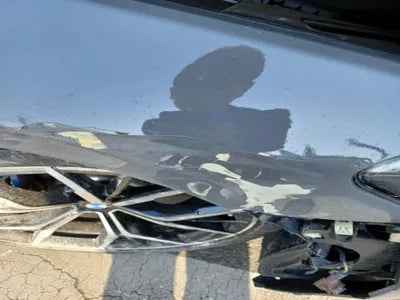 2021 BMW 530 WBA51AG09MCG73100 VIN:WBA51AG09MCG73100