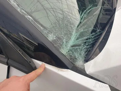 2021 Kia Carnival KNANE81BBMS025839 VIN:KNANE81BBMS025839