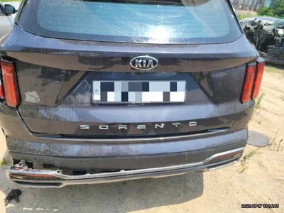 2020 Kia Sorento KNARL81BGMA010120 VIN:KNARL81BGMA010120