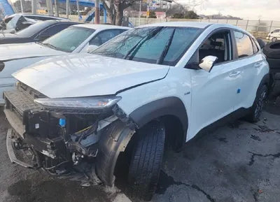 2020 Hyundai Kona KMHK381EGLU036622 VIN:KMHK381EGLU036622