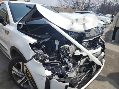 2021 Kia Sorento KNARF81GDMA045087 VIN:KNARF81GDMA045087
