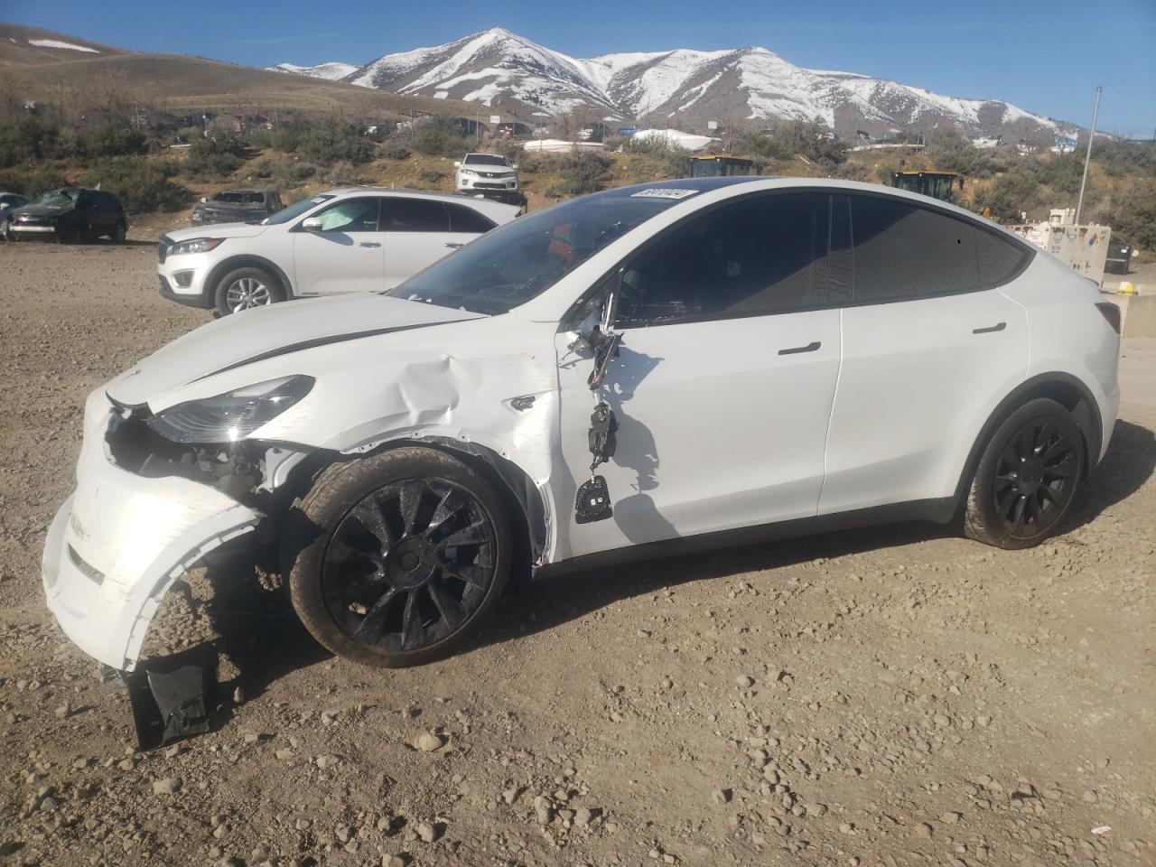 2023 TESLA MODEL Y  VIN:7SAYGDEE6PF781731