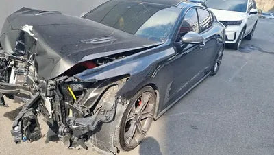 2019 Kia Stinger KNAE751CBKS062844 VIN:KNAE751CBKS062844