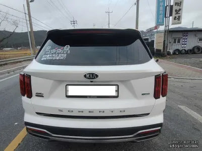 2021 Kia Sorento KNARH81GDMA017507 VIN:KNARH81GDMA017507