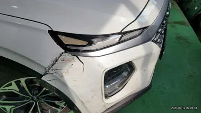 2019 Hyundai Santa FE KMHS281CDKU088684 VIN:KMHS281CDKU088684