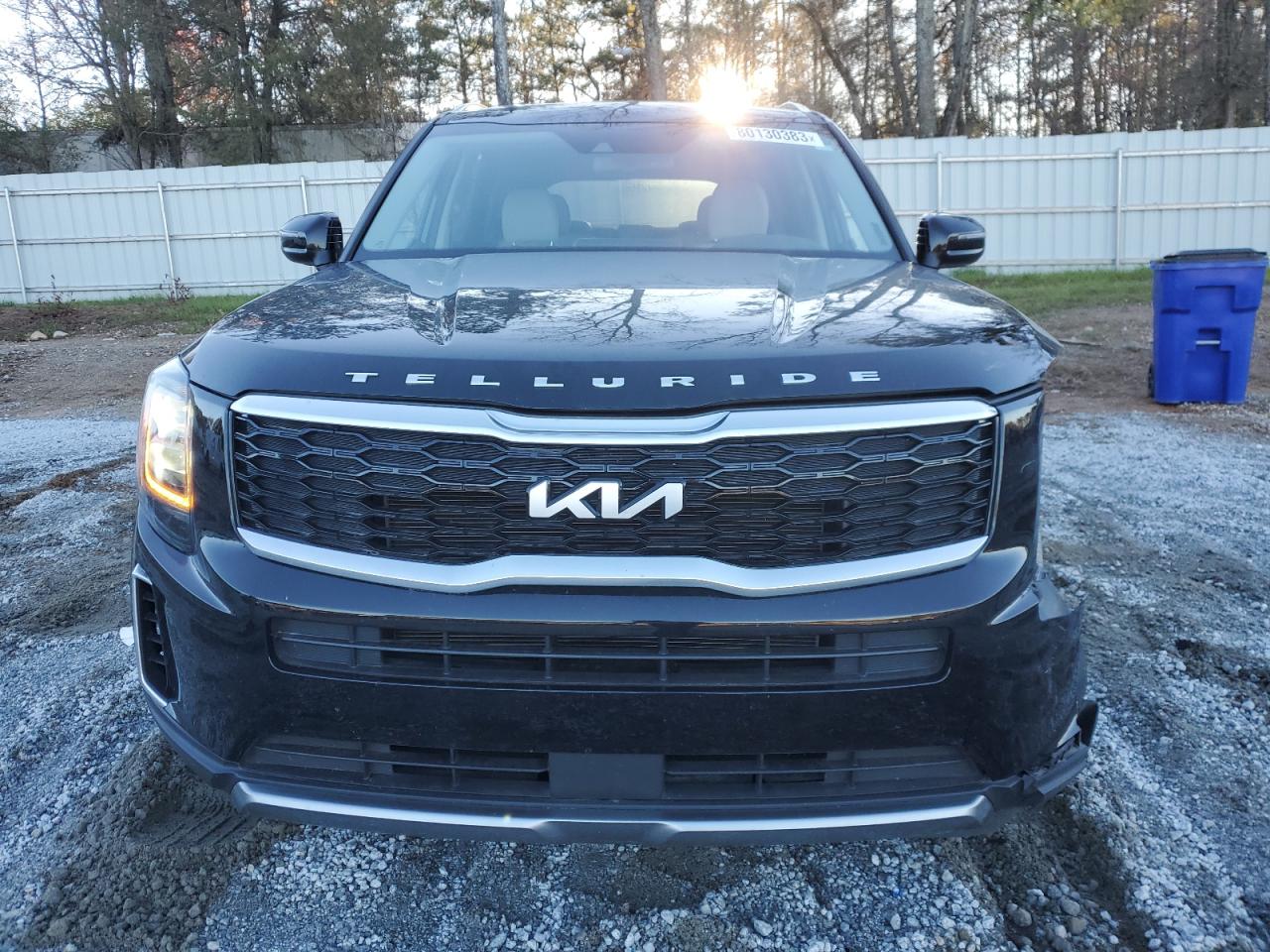 2022 KIA TELLURIDE EX VIN:5XYP34HC1NG256953
