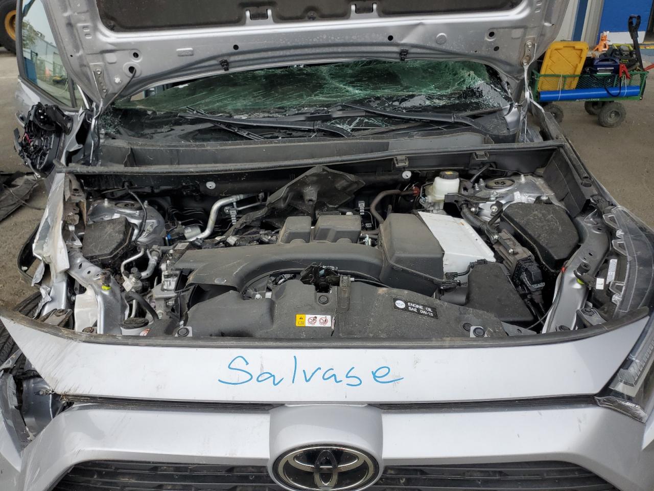 2024 TOYOTA RAV4 XLE VIN:2T3P1RFV5RC461093