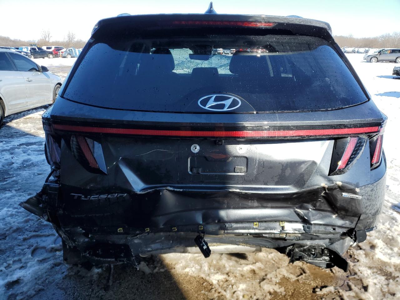 2024 HYUNDAI TUCSON LIMITED VIN:5NMJECDE1RH365037