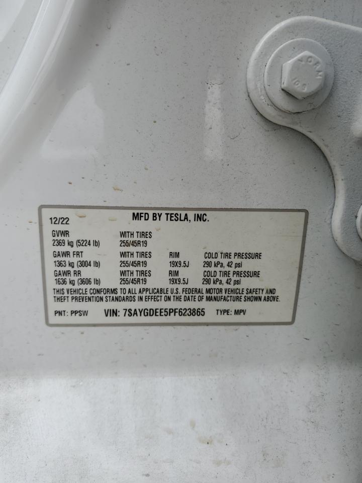 2023 TESLA MODEL Y  VIN:7SAYGDEE5PF623865
