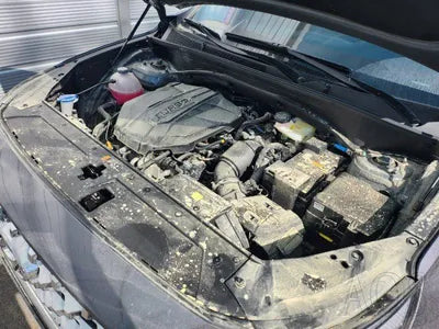 2023 Hyundai Santa FE KMHS281HHPU485045 VIN:KMHS281HHPU485045