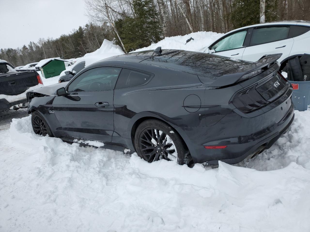 2023 FORD MUSTANG GT VIN:1FA6P8CF4P5303404