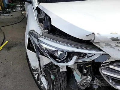 2016 Hyundai Santa FE KMHSW81XDGU665677 VIN:KMHSW81XDGU665677