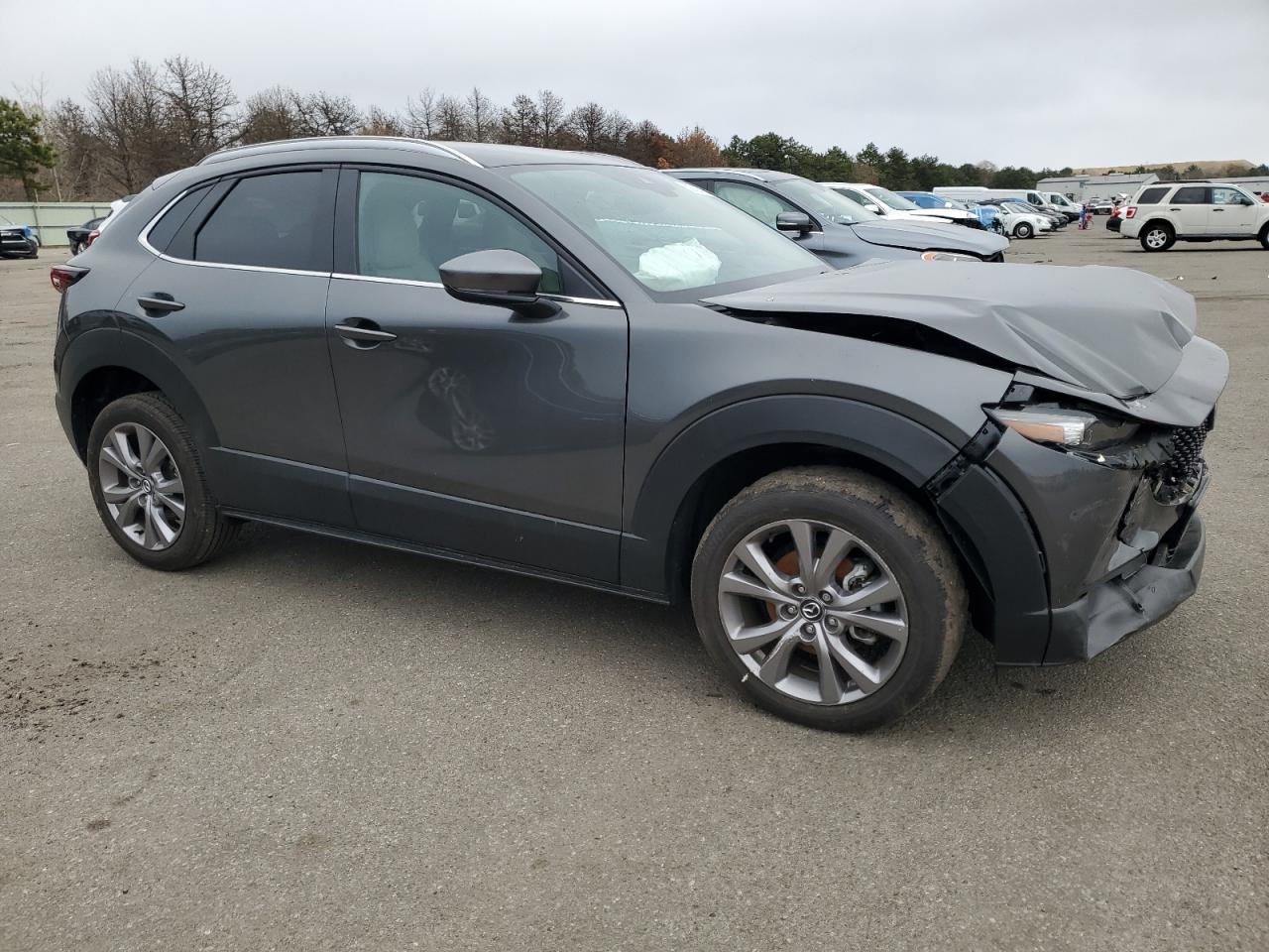 2023 MAZDA CX-30 PREFERRED VIN:3MVDMBCM6PM517681