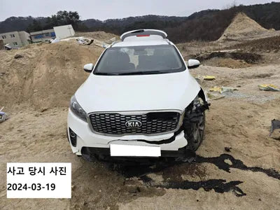2019 Kia Sorento KNAPG81BDKA540068 VIN:KNAPG81BDKA540068