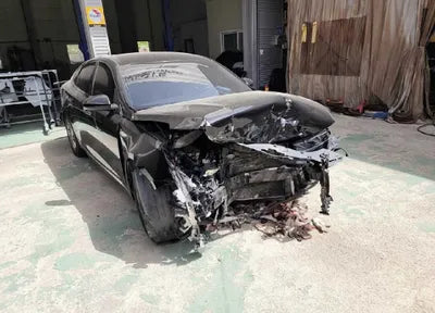 2019 Kia K5 KNAGS416BKA307132 VIN:KNAGS416BKA307132