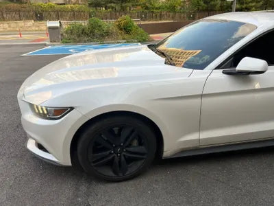 2017 Ford Mustang 1FA6P8TH0H5258819 VIN:1FA6P8TH0H5258819