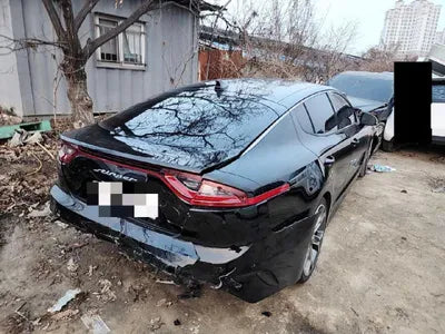 2019 Kia Stinger KNAE351ABKS062346 VIN:KNAE351ABKS062346