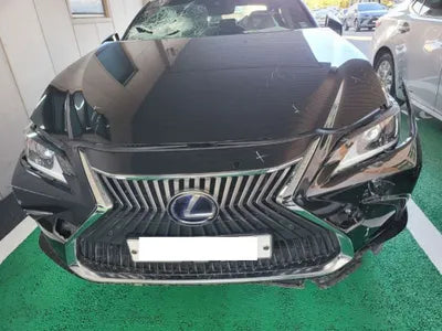 2019 Lexus ES 300 JTHB21B15K2006798 VIN:JTHB21B15K2006798