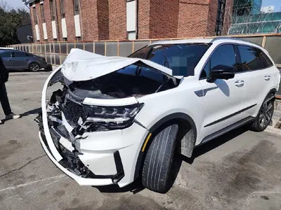 2021 Kia Sorento KNARF81GDMA045087 VIN:KNARF81GDMA045087