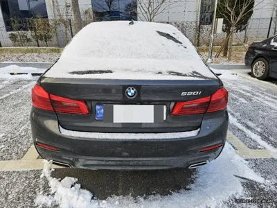 2020 BMW 520 WBAJK9103LCE66686 VIN:WBAJK9103LCE66686