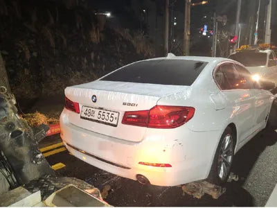 2019 BMW 520 WBAJK7100KBP73402 VIN:WBAJK7100KBP73402