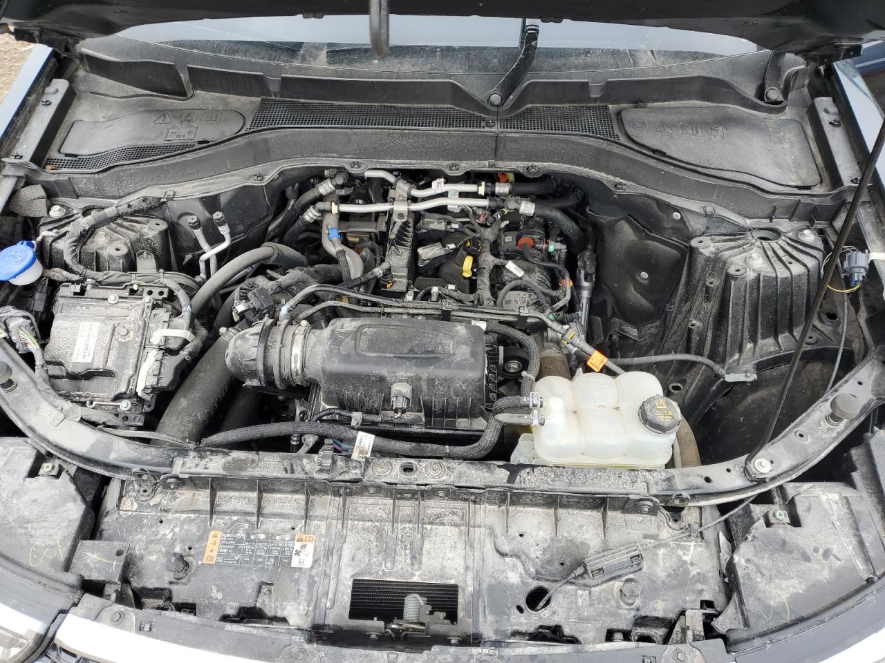 2023 FORD EXPLORER XLT VIN:1FMSK8DH7PGC06589