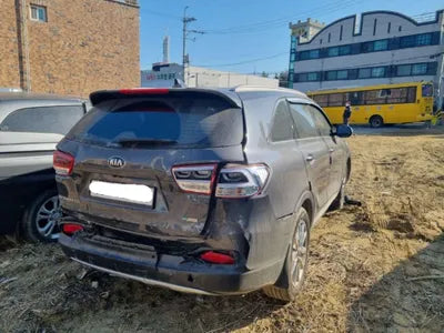 2016 Kia Sorento 132KMKNAPK81ABGA1 VIN:132KMKNAPK81ABGA1