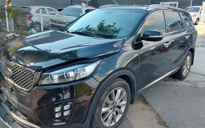 2017 Kia Sorento KNAPS81ABHA322362 VIN:KNAPS81ABHA322362