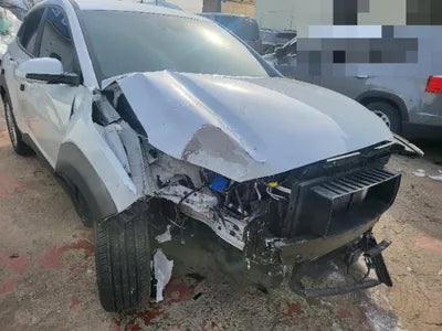 2020 Hyundai Kona KMHK4815GLU551938 VIN:KMHK4815GLU551938