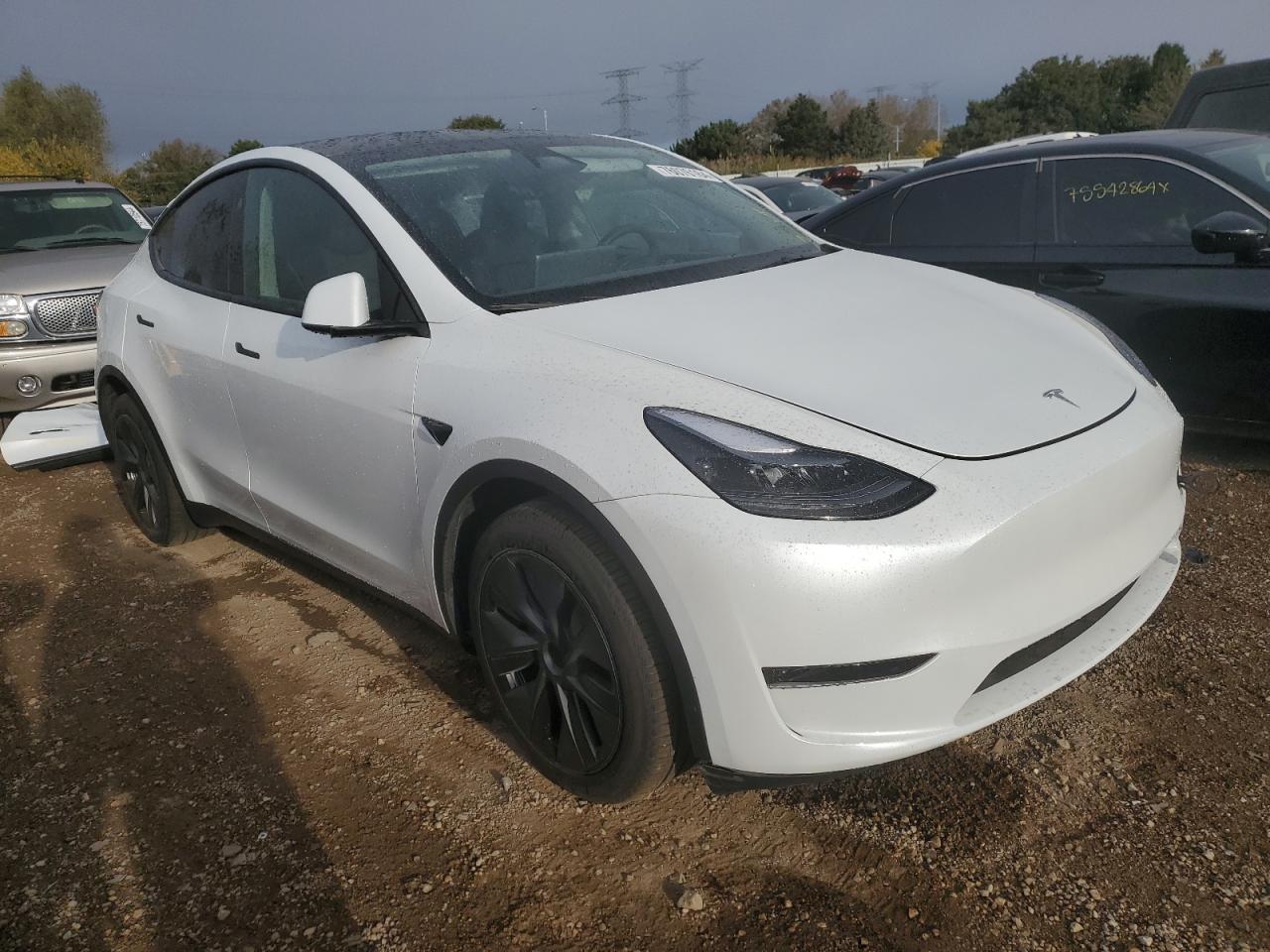 2024 TESLA MODEL Y  VIN:7SAYGDEE0RA296453