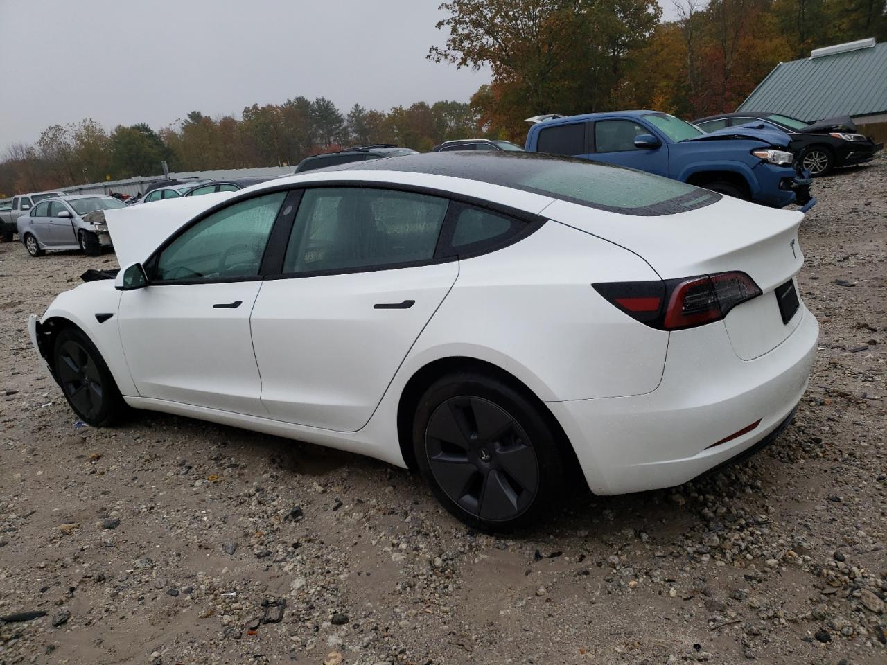 2023 TESLA MODEL 3  VIN:5YJ3E1EA9PF691451