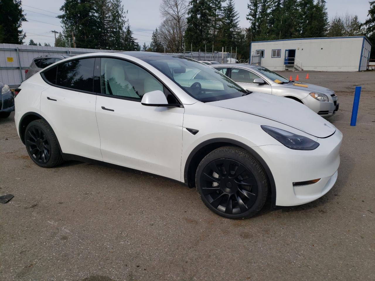 2024 TESLA MODEL Y  VIN:7SAYGAEE1RF190241